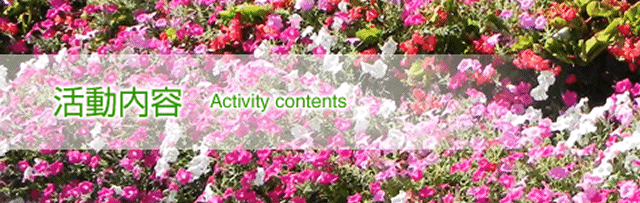 活動内容　Activity contents